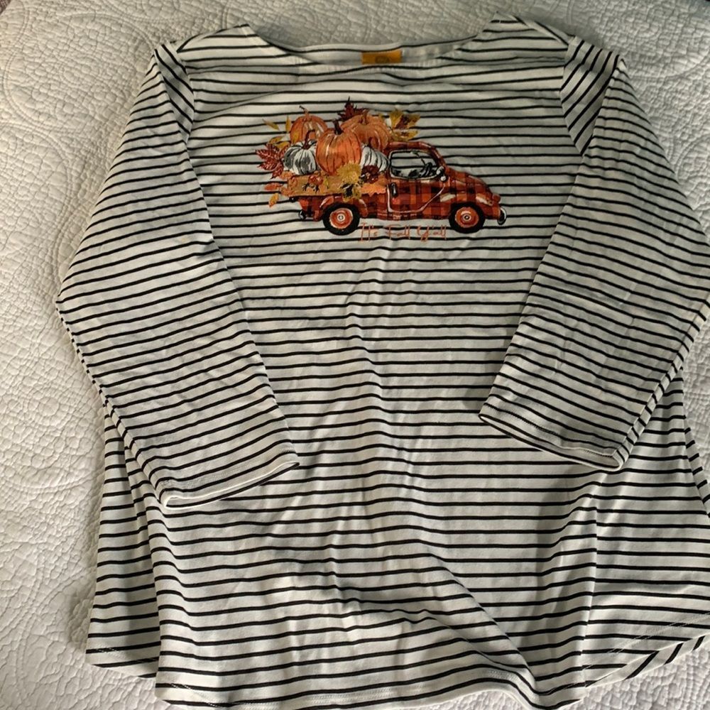 Ruby Rd L NWOT Autumn Thanksgiving boatneck top